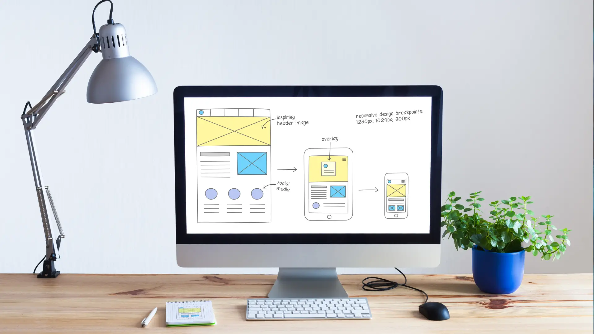 Web Design & Development